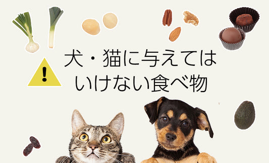 犬・猫に与えてはいけない食べ物