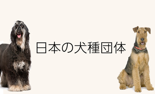 日本の犬種団体一覧