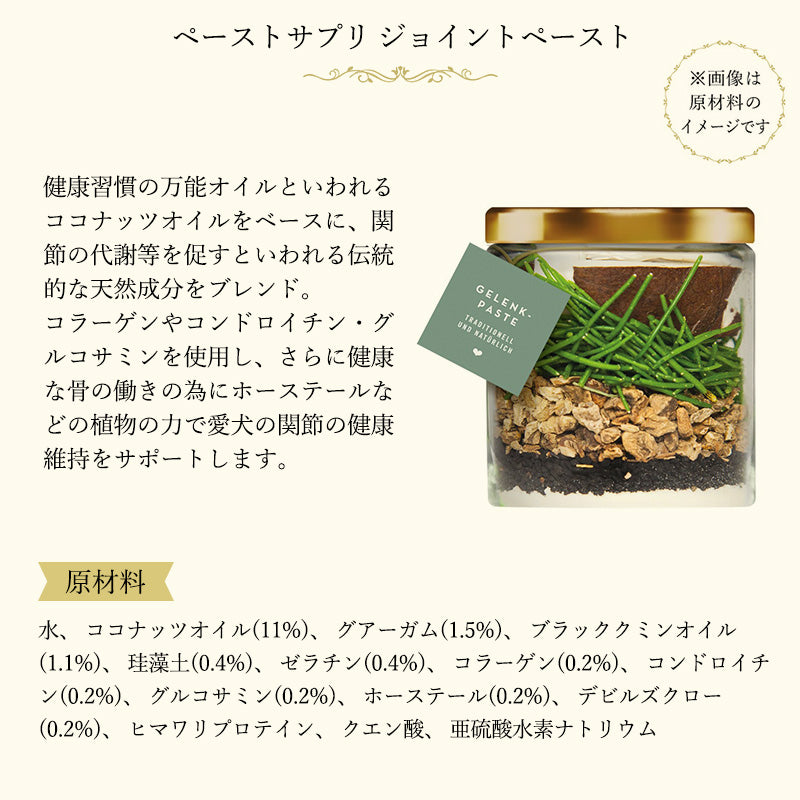テラカニス ペーストサプリ ジョイントペースト (関節) 250g