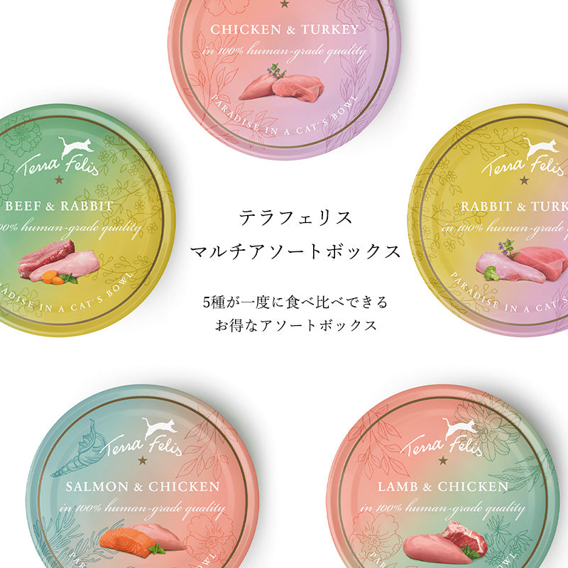 テラフェリス マルチプロテイン マルチBOX 5種×80g
