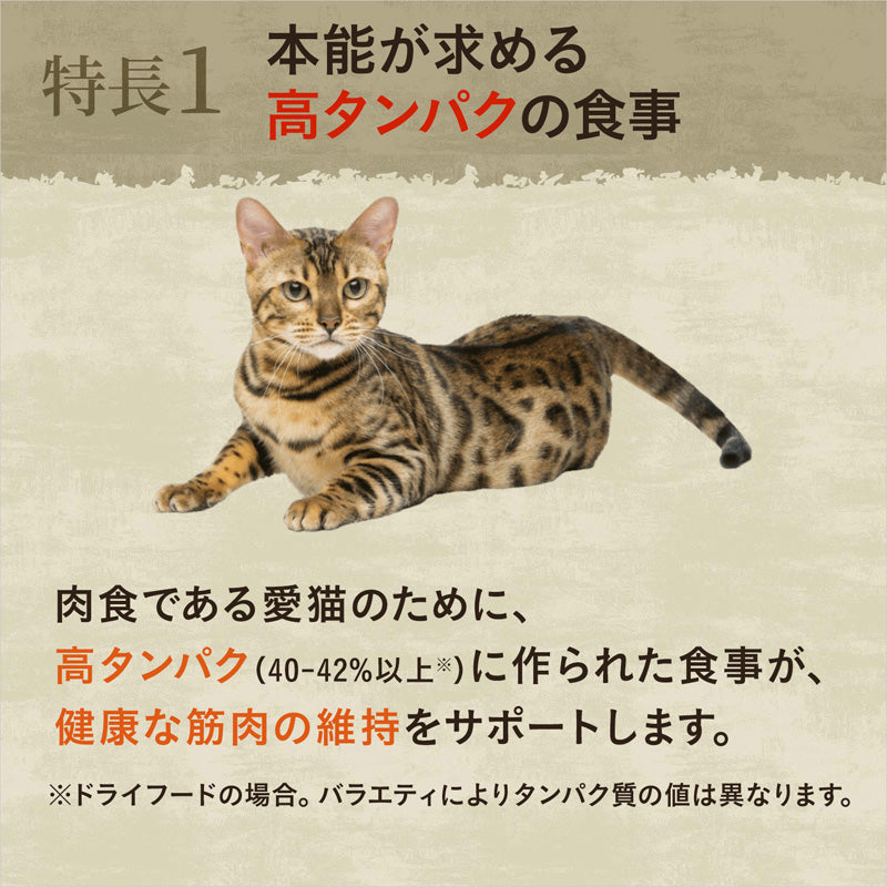 ニュートロ キャット ワイルド レシピ キトン チキン 子猫用 2kg NW204