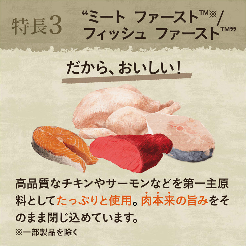 ニュートロ キャット ワイルド レシピ キトン チキン 子猫用 2kg NW204