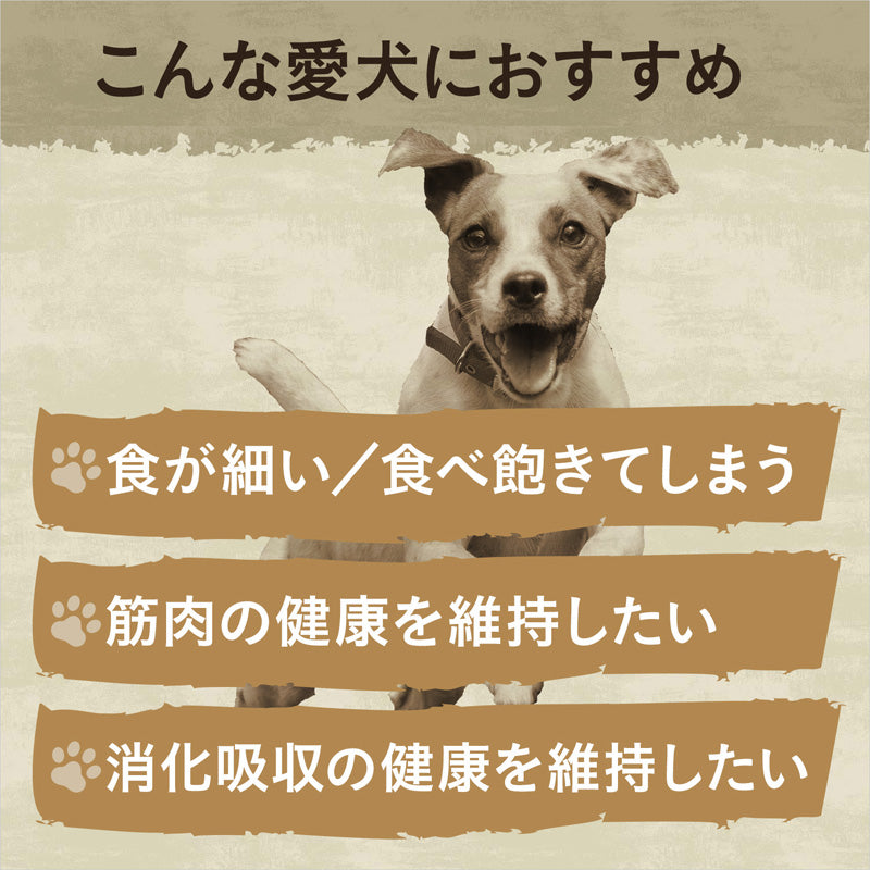 ニュートロ ワイルド レシピ 超小型犬~小型犬用 子犬用 ターキー 4kgX4 NW124