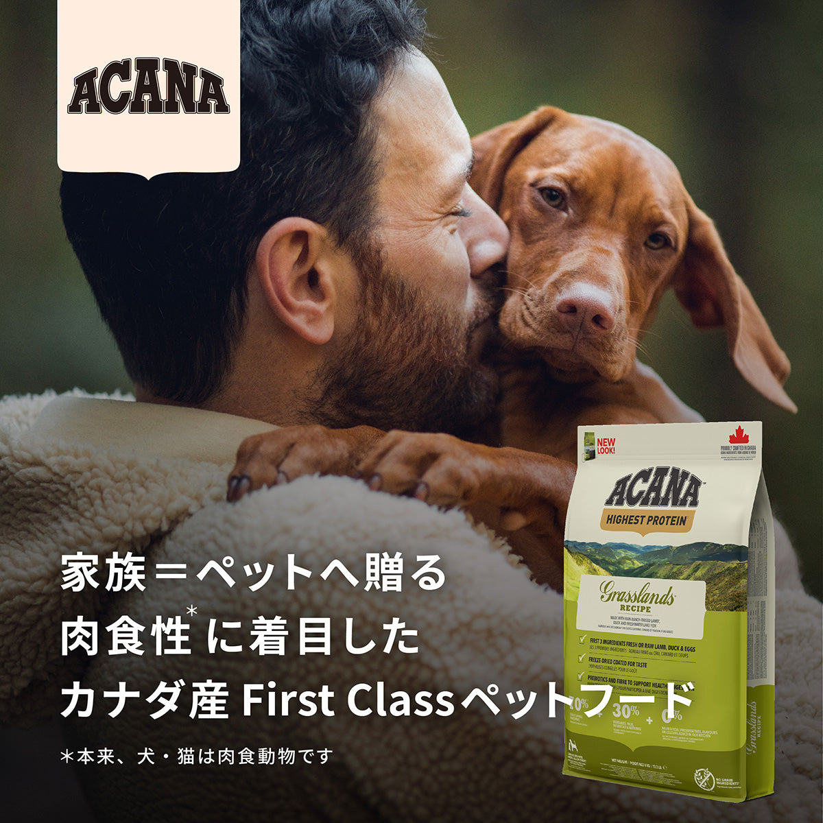 ACANA アカナ インドアエントリー 1.8kg 全年齢猫用 (取り寄せ/5営業日以内に発送予定)