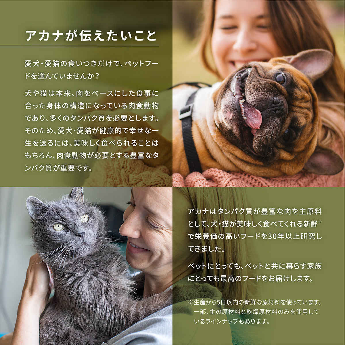 ACANA アカナ インドアエントリー 1.8kg 全年齢猫用 (取り寄せ/5営業日以内に発送予定)
