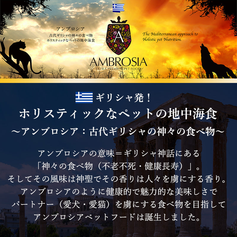 アンブロシア キャット ターキー&ヘリング (七面鳥&ニシン) 1.5kg 全年齢(特に避妊去勢猫・子猫・大型猫に) (賞味期限2025/11/07)