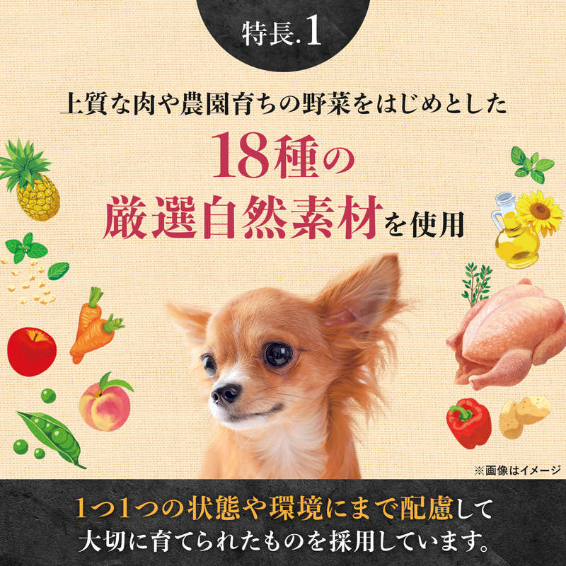 ニュートロ シュプレモ 超小型犬~小型犬用 成犬用 プレミアムブレンド ビーフ 1.5kg NS307