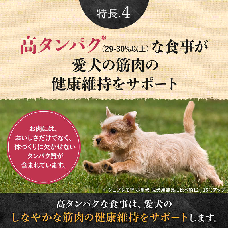 ニュートロ シュプレモ 超小型犬~小型犬用 成犬用 プレミアムブレンド ビーフ 1.5kg NS307