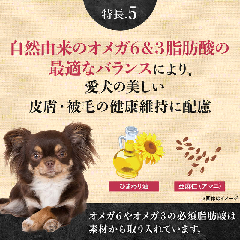 ニュートロ シュプレモ 超小型犬~小型犬用 成犬用 プレミアムブレンド ビーフ 1.5kg NS307