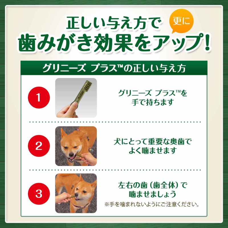 (セール品) グリニーズ プラス 成犬用 超小型犬用 2-7kg 60本入 CGP014 賞味期限2025/09/21