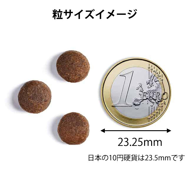 アンブロシア HMNサーディン&ヘリング (イワシ&ニシン) 100g (特にパピー期・授乳期・活動量が多い愛犬に) 全犬種用