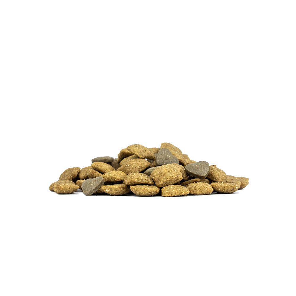 FORZA10 エコー アクティブ ミニ (小粒) 1.5kg 成犬用 (耳管 ・外耳 の健康維持)