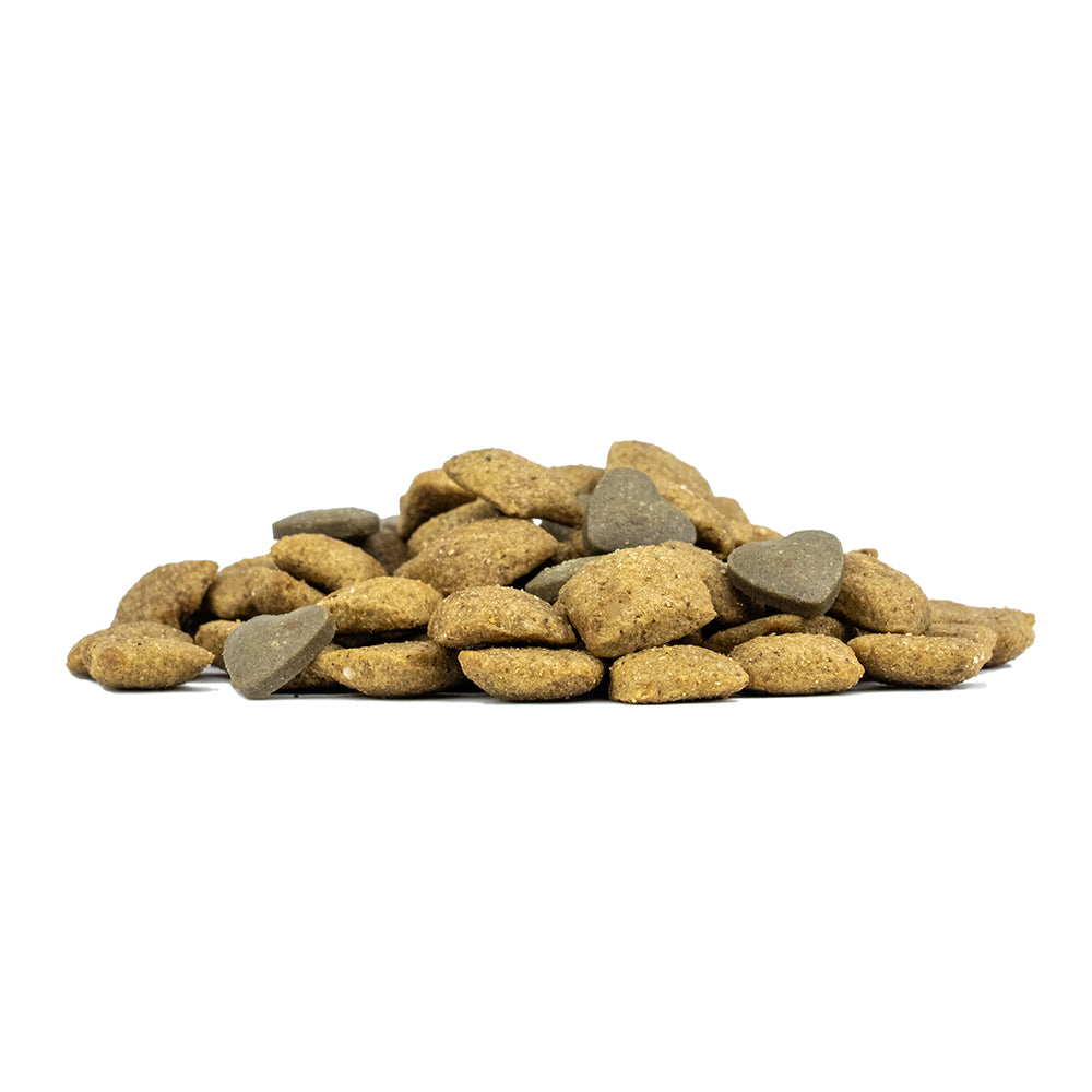FORZA10 リナール アクティブミディアム (中粒) 4.0kg 成犬用 (腎臓の健康維持)(お取り寄せ/5営業日以内に発送予定)