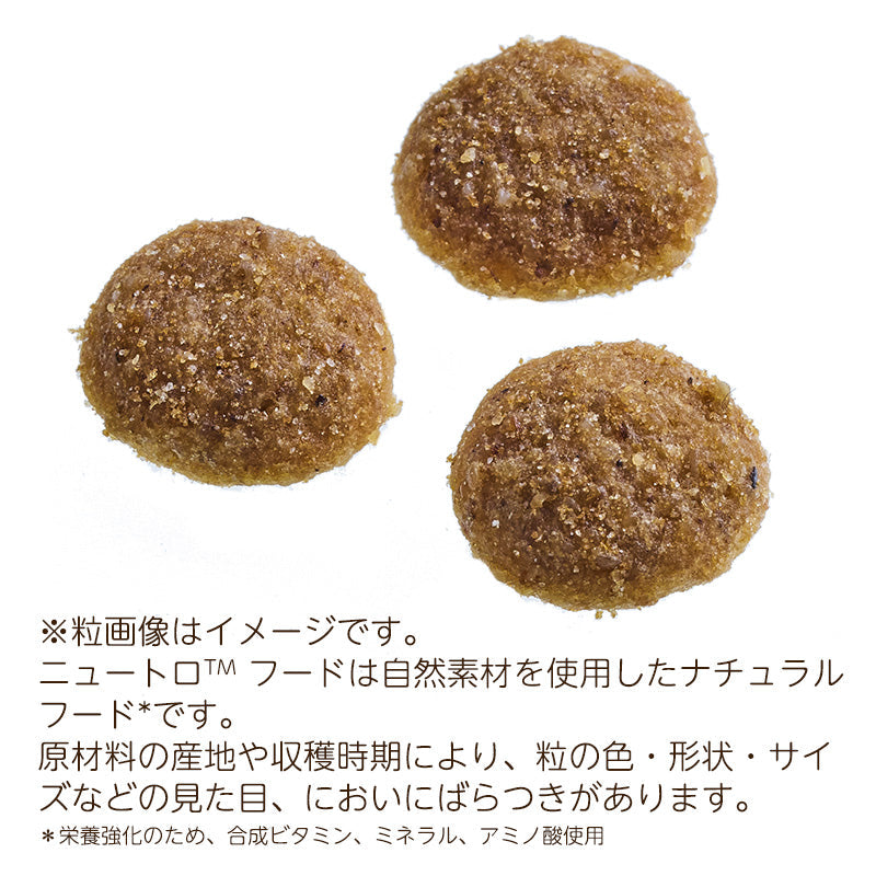 ニュートロ シュプレモ 成猫用 チキン&サーモン 400g×10袋 NS505