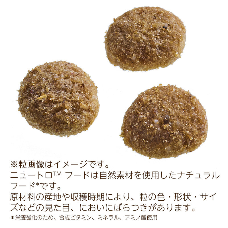 ニュートロ シュプレモ 成猫用 サーモン&チキン 2kg NS509 (にゃんコッププレゼント)