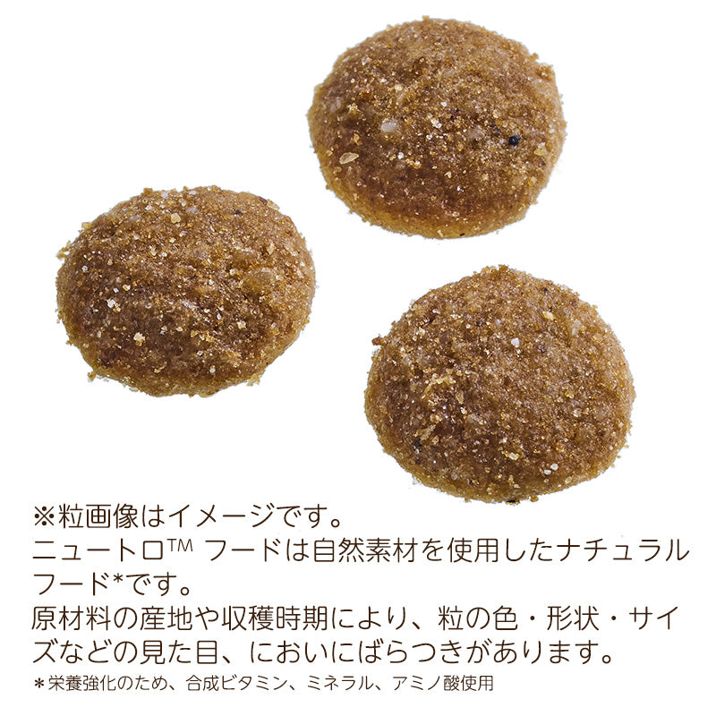 ニュートロ シュプレモ 成猫用 白身魚&チキン 400g×10袋 NS511