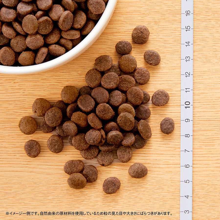 ニュートロ ワイルド レシピ 超小型犬~小型犬用 成犬用 ビーフ 4kg NW136