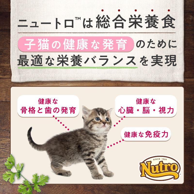 ニュートロ キャット ワイルド レシピ キトン チキン 子猫用 1kgX10 NW203