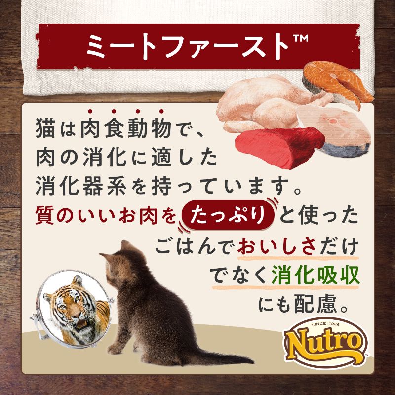 ニュートロ キャット ワイルド レシピ キトン チキン 子猫用 1kgX10 NW203