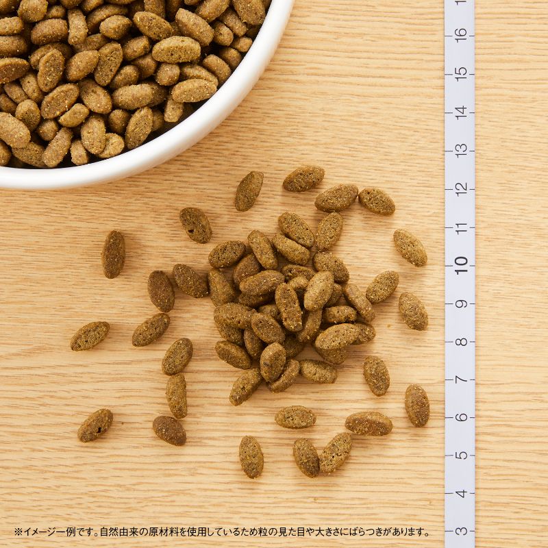 ニュートロ ナチュラルチョイス キャット 室内猫用 エイジングケア チキン 2kgX8 NC148