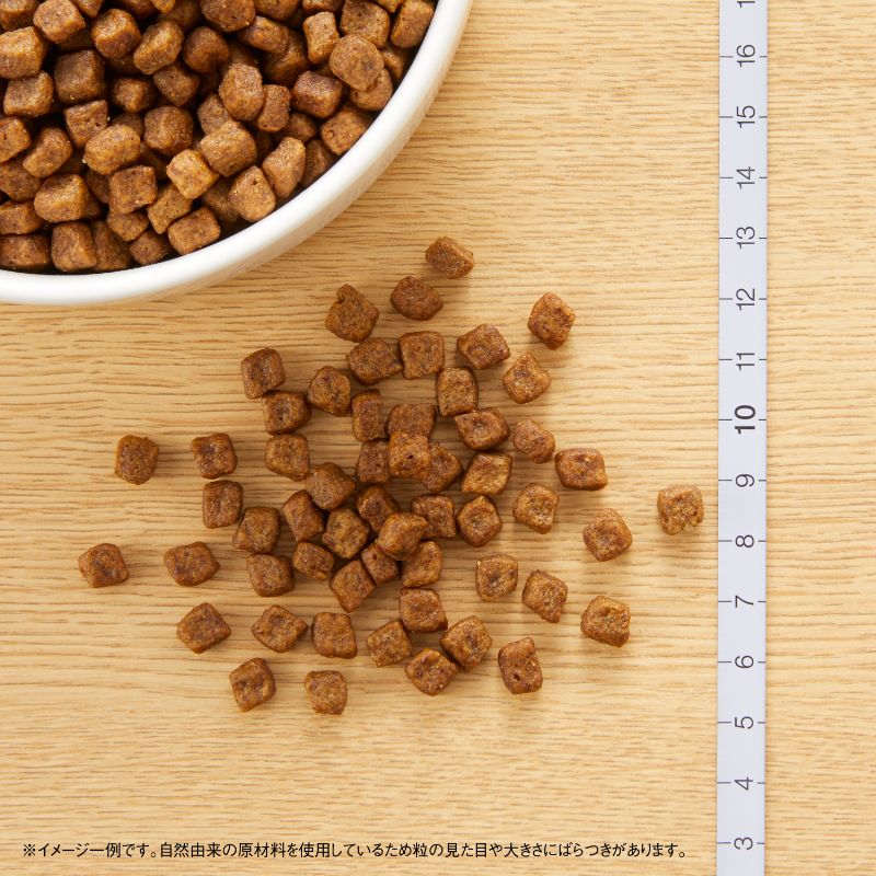 ニュートロ ナチュラルチョイス 子犬用 妊娠中・授乳中の母犬にも 超小型犬~中型犬用 チキン&玄米 6kg ND104