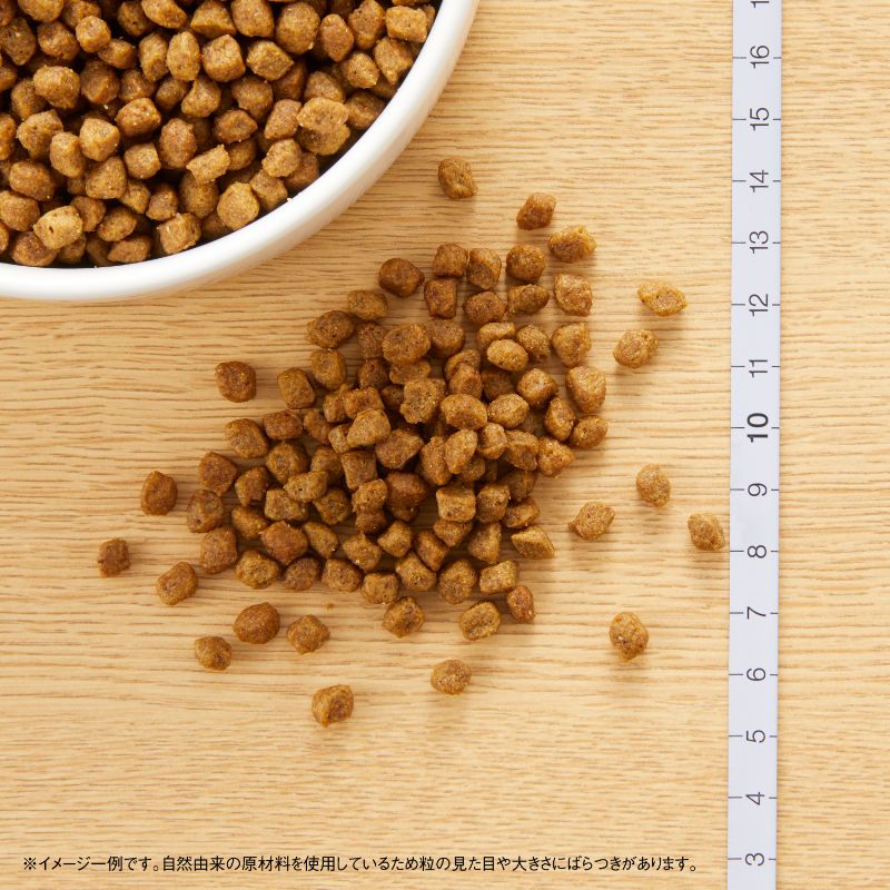 ニュートロ ナチュラルチョイス 超小型犬4kg以下用 成犬用 生後8ヶ月以上 チキン&玄米 4kg ND108