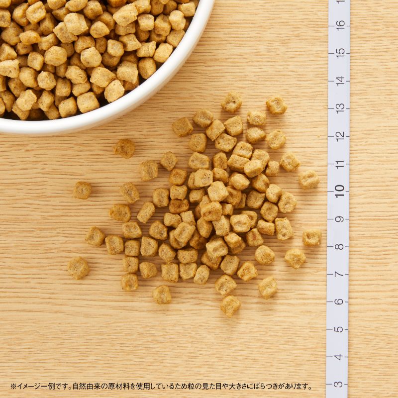 ニュートロ ナチュラルチョイス 避妊・去勢犬用 超小型犬~小型犬用 エイジングケア チキン&玄米 3kg ND316