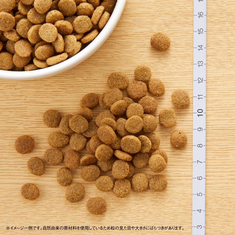 ニュートロ ナチュラルチョイス ラム&玄米 子犬用 妊娠中・授乳中の母犬にも 全犬種用 3kg ND364