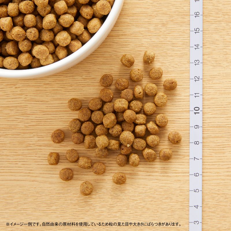 ニュートロ ナチュラルチョイス ラム&玄米 超小型犬~小型犬用 成犬用 3kg ND368