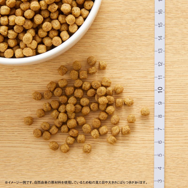 ニュートロ ナチュラルチョイス ラム&玄米 超小型犬~小型犬用 エイジングケア 3kg ND372