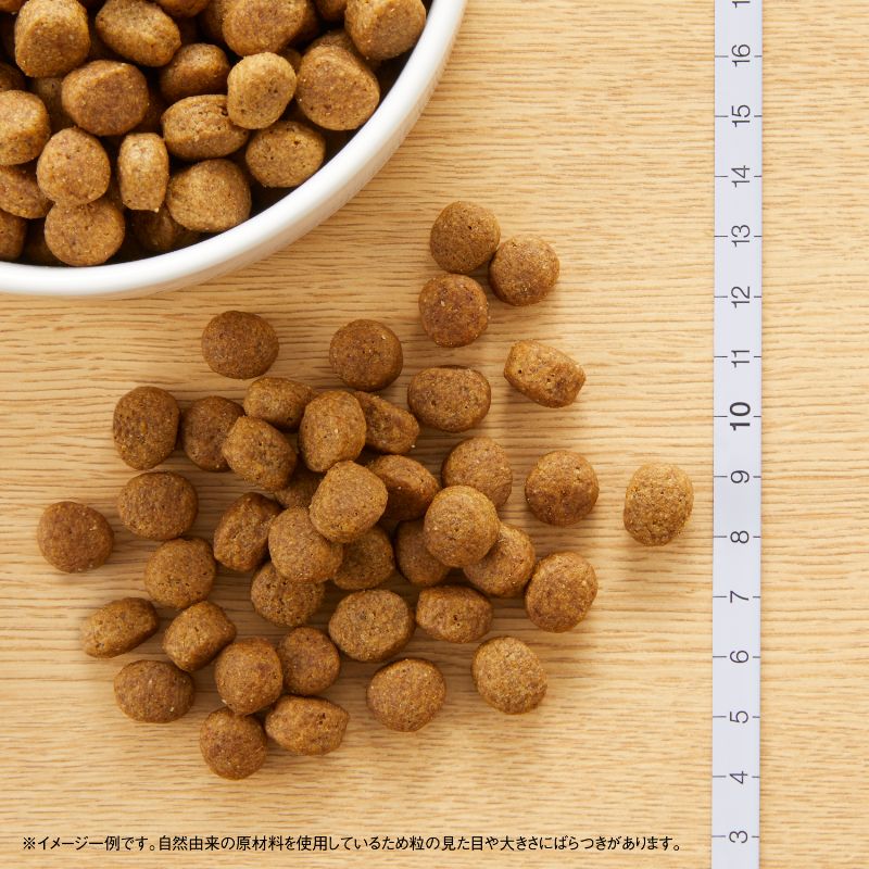 ニュートロ ナチュラルチョイス ラム&玄米 中型犬~大型犬用 成犬用 4kg ND376