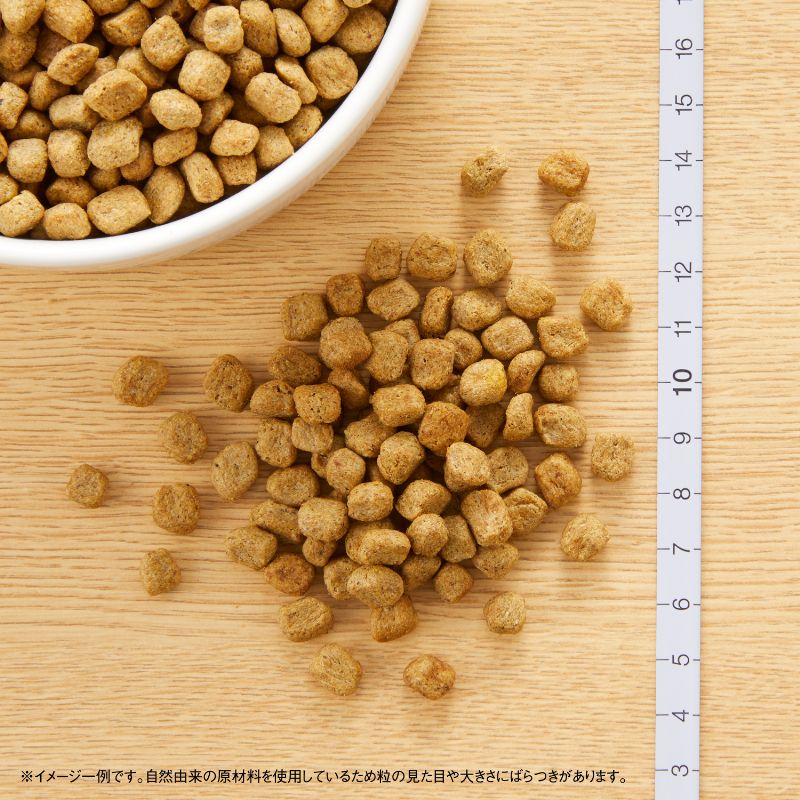 ニュートロ ナチュラルチョイス 減量用 超小型犬~小型犬用 成犬用 チキン&玄米 3kg ND404