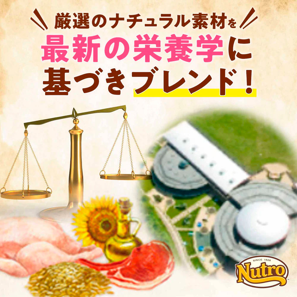 ニュートロ ナチュラルチョイス キャット 室内猫用 エイジングケア チキン 2kgX8 NC148