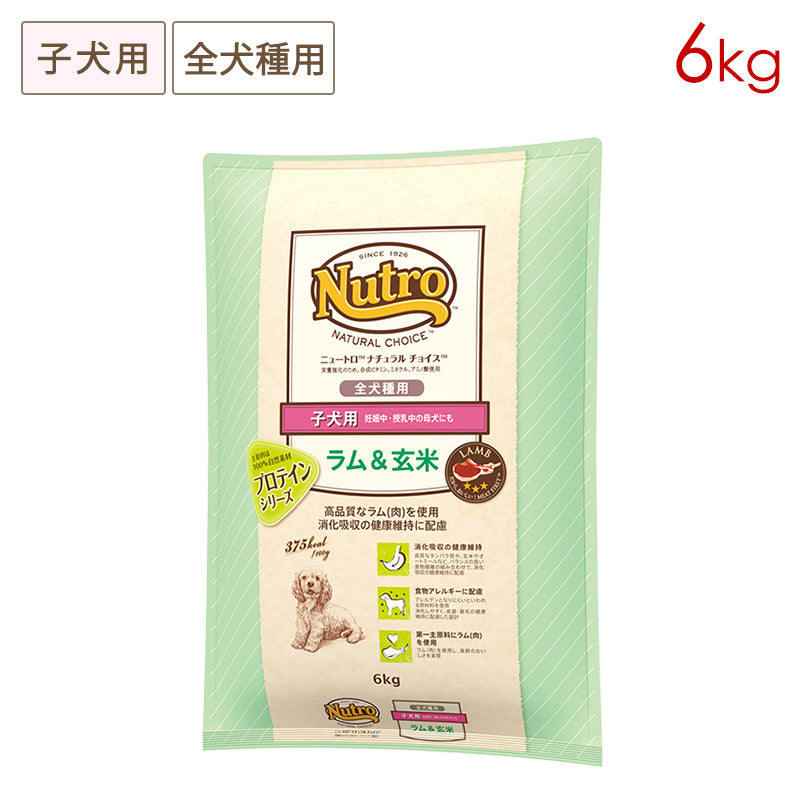 ニュートロ ナチュラルチョイス ラム&玄米 子犬用 全犬種用 6kg ND365