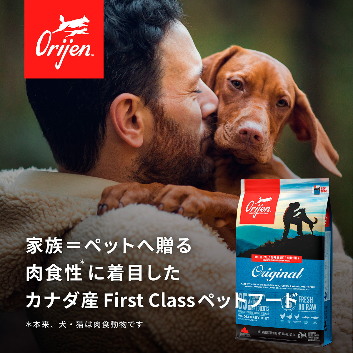 Orijen オリジン ガーディアン8 4.5kg 全年齢猫用 (取り寄せ/5営業日以内に発送予定)