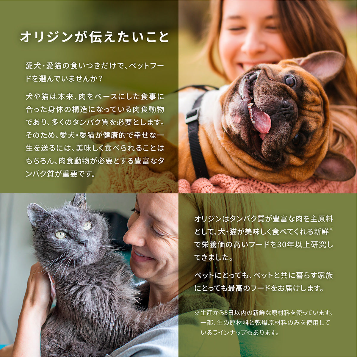 Orijen オリジン ガーディアン8 4.5kg 全年齢猫用 (取り寄せ/5営業日以内に発送予定)