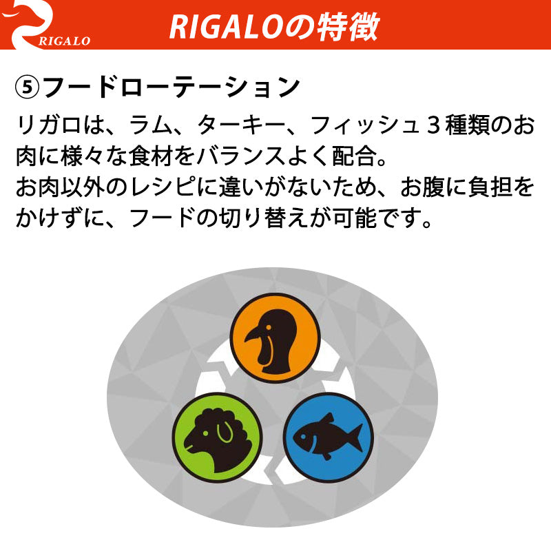 リガロ RIGALO ハイプロテインレシピ 7歳以上用 シニア犬用 ターキー 1.8kg