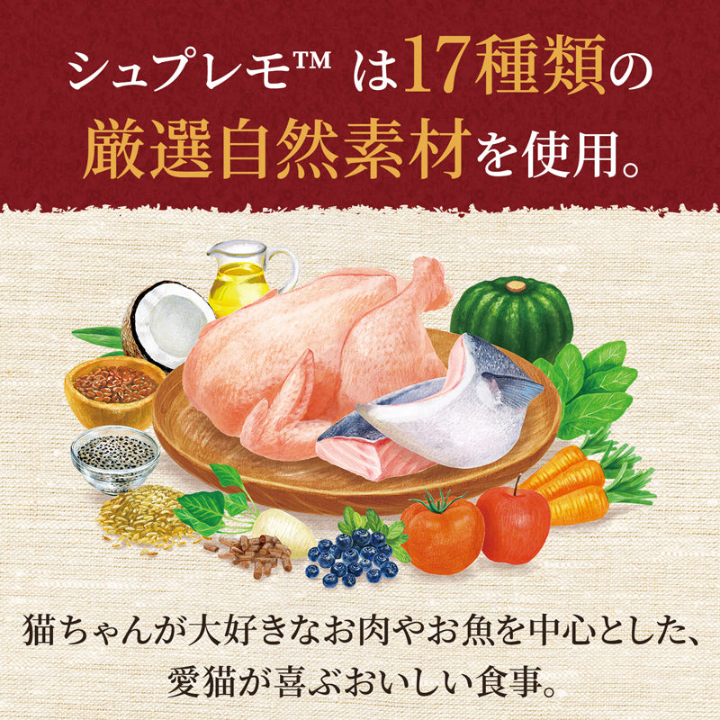 ニュートロ シュプレモ 子猫用 チキン&サーモン 400g×10袋 NS502