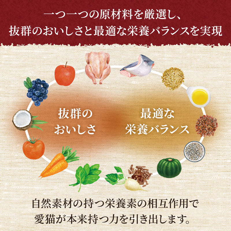ニュートロ シュプレモ 子猫用 チキン&サーモン 400g×10袋 NS502