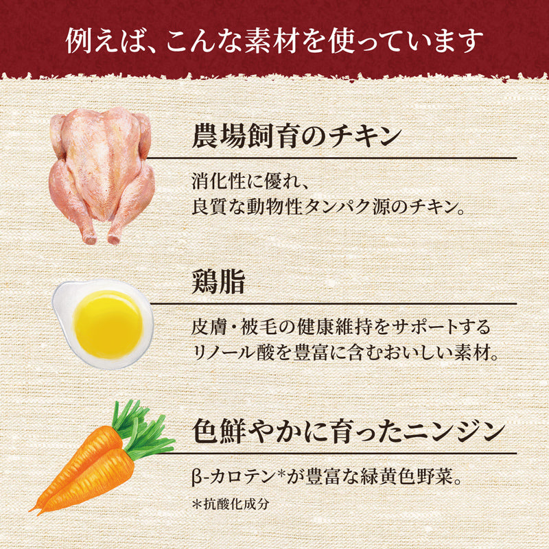 ニュートロ シュプレモ 子猫用 チキン&サーモン 400g×10袋 NS502