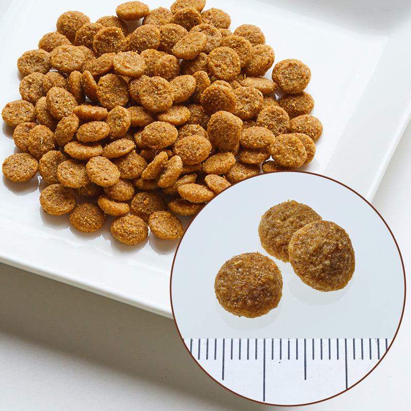 ニュートロ シュプレモ 成猫用 チキン&サーモン 2kg NS506 (にゃんコッププレゼント)