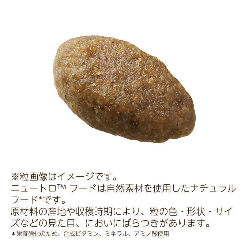ニュートロ ナチュラルチョイス キャット 室内猫用 エイジングケア チキン 2kgX8 NC148