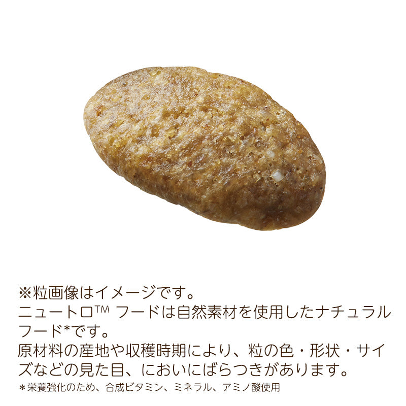 ニュートロ ナチュラルチョイス キャット 室内猫用 アダルト ターキー 2kgX8 NC151