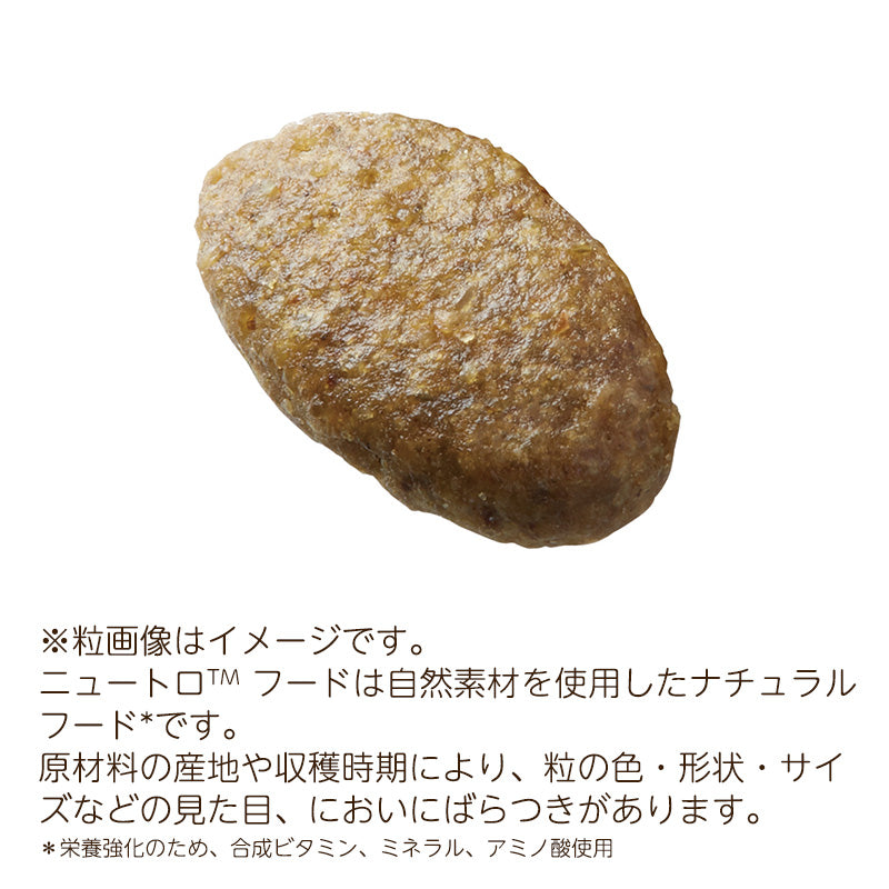 ニュートロ ナチュラルチョイス キャット 避妊・去勢猫用 アダルト 白身魚 500gX10 NC159