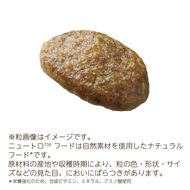 ニュートロ ナチュラルチョイス キャット 穀物フリー アダルト サーモン 2kg NC169