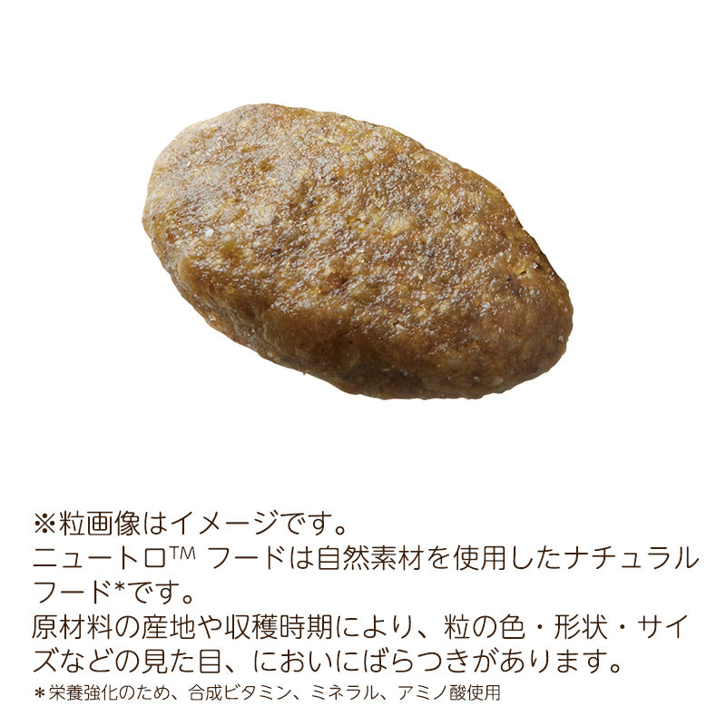 ニュートロ ナチュラルチョイス キャット 穀物フリー アダルト ダック 2kgX8 NC172