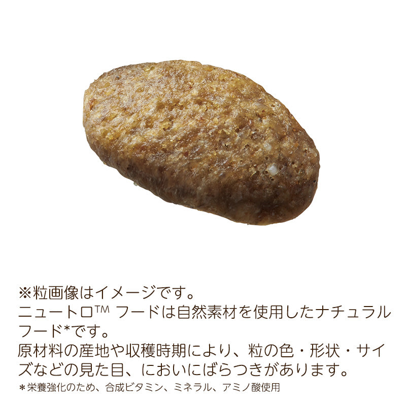ニュートロ ナチュラルチョイス キャット 穀物フリー アダルト チキン 2kg NC181