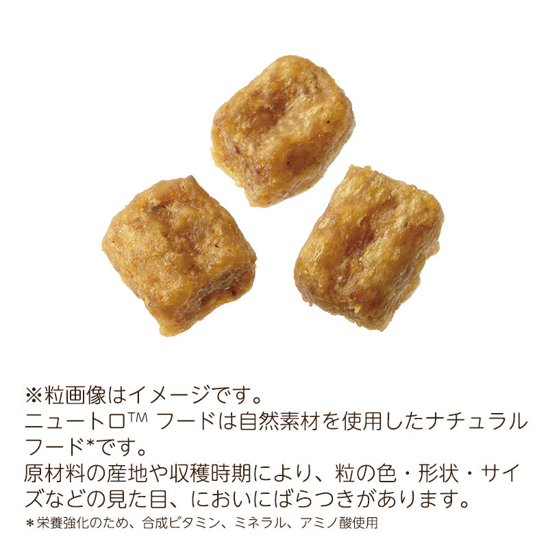 ニュートロ ナチュラルチョイス 子犬用 妊娠中・授乳中の母犬にも 超小型犬~中型犬用 チキン&玄米 1kgX10 ND102