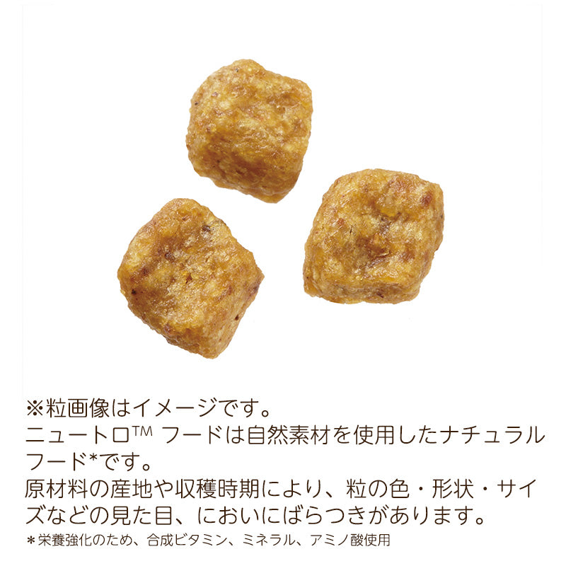 ニュートロ ナチュラルチョイス 超小型犬4kg以下用 エイジングケア チキン&玄米 4kg ND112
