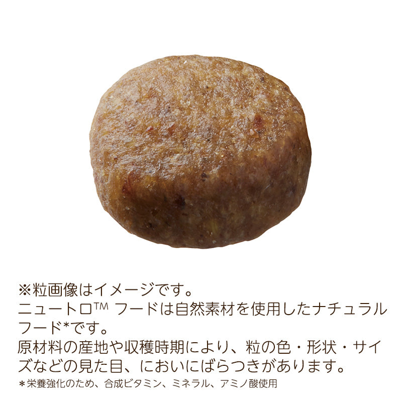 ニュートロ ナチュラルチョイス フィッシュ&ポテト 全犬種用 成犬用 6kg ND223